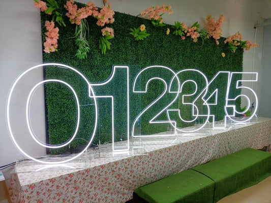 '1' Standing LED Neon Sign - My Neon Lights