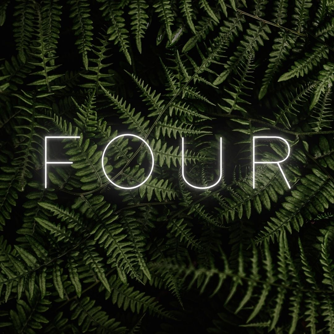 Four LED Neon Sign - My Neon Lights
