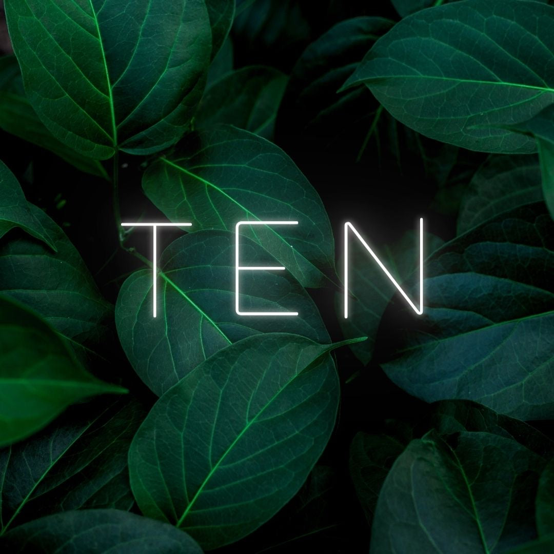 Ten LED Neon Sign - My Neon Lights